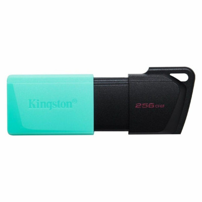 Flash Kingston USB 3.2 DT Exodia M 256GB Black/Teal - изображение 1
