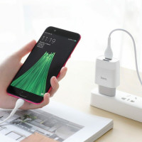 Мережевий зарядний пристрій HOCO C73A Glorious dual port charger set(Micro) 12W White (Цвет 7068) - фото № 6