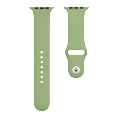 Ремінець для годинника Apple Watch Silicone Classic 38/40/41mm 1.Mint Green - зображення 1