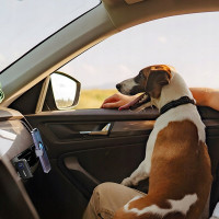 Bluetooth-ресивер UGREEN CM596 Car Bluetooth Audio Receiver (Колір 7073) - фото № 3