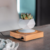 Магнітний левітаційний горщик для рослин HCNT Magnetic Levitating Pot M10-FP  Wood Grain (Цвет Дерево) - фото № 3