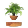 Магнітний левітаційний горщик для рослин HCNT Magnetic Levitating Pot M10-PS Wood Grain (Дерево) HCNT - № 1