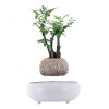 Магнітний левітаційний горщик для рослин HCNT Magnetic Levitating Pot M5B-PW-T White (Темно-серый) HCNT - № 1