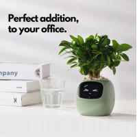 Інтерактивний розумний горщик для рослин Ivy Smart Planter Tuya AI, Pink (Колір 7089) - фото № 5