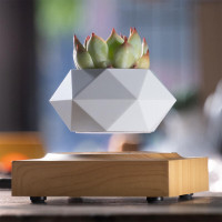 Магнітний левітаційний горщик для рослин HCNT Magnetic Levitating Pot M10-FP  Wood Grain (Цвет Дерево) - фото № 2