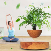 Магнітний левітаційний горщик для рослин HCNT Magnetic Levitating Pot M10-PS Wood Grain (Цвет Дерево) - фото № 2
