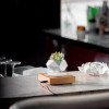 Магнітний левітаційний горщик для рослин HCNT Magnetic Levitating Pot M10-FP  Wood Grain (Дерево)- № 4