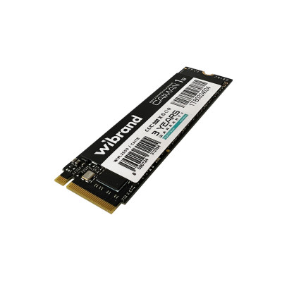 SSD M.2 Wibrand Caiman 1TB NVMe 2280 PCIe 3.0 3D NAND - зображення 1