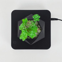 Магнітний левітаційний горщик для рослин HCNT Magnetic Levitating Pot M10-GW4 Black (Цвет Black) - фото № 3
