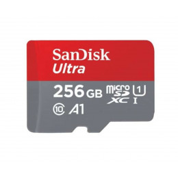 microSDXC (UHS-1) SanDisk Ultra 256Gb class 10 A1 (120Mb/s)