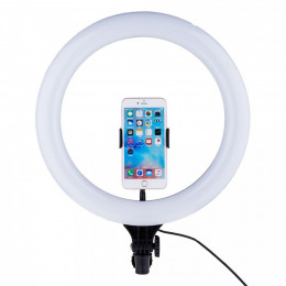 Кільцева світлодіодна LED лампа BD-300, 30 см з тримачем для телефону (T30)