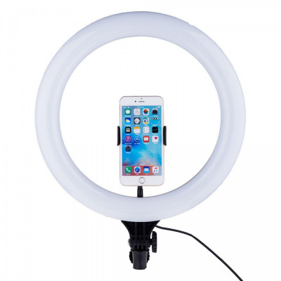 Кільцева світлодіодна LED лампа BD-300, 30 см з тримачем для телефону (T30) - изображение 1