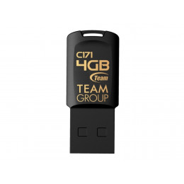 Flash Team USB 2.0 C171 4Gb Black