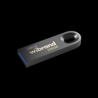 Flash Wibrand USB 3.2 Gen1 Eagle 256GB Grey - зображення 1