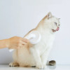 Пуходірка-слікер PETKIT Pet Grooming Brush2 - изображение 7