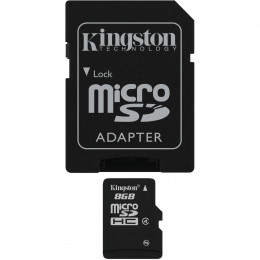microSDHC Kingston 8Gb class 4 (adapter SD)