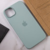 Чохол для смартфона Silicone Full Case AAA MagSafe IC for iPhone 14 Pro Succulent (Succulent)- № 6