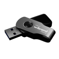 Флеш-накопичувач Wibrand USB 3.2 Gen1 Lizard 256GB Black (Колір Черный) - фото № 2