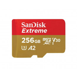 microSDXC (UHS-1 U3) SanDisk Extreme A2 256Gb class 10 V30 (R190MB/s,W130MB/s)