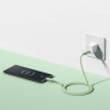 Кабель Baseus Habitat Series Fast Charging Cable Type-C to Type-C 100W 1m Natural Green (Natural Green)- № 8