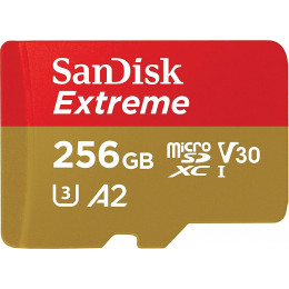 microSDXC (UHS-1 U3) SanDisk Extreme For Mobile Gaming 256Gb class 10  A2 V30 (R160MB/s, W90MB/s)