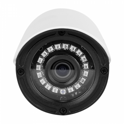 Гібридна зовнішня камера GV-149-GHD-H-COG20-30 - зображення 2