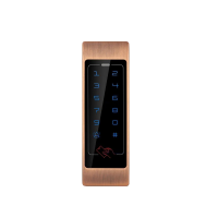 Контролер доступу GV-CEM-011 Outdoor (Bronze)