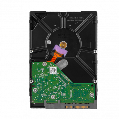 Жорсткий диск Western Digital 1TB Purple (WD10PURZ) - изображение 2