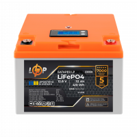 Акумулятор LP LiFePO4 12,8V - 32 Ah (410Wh) (BMS 50А/25A) пластик LCD для ДБЖ , Атикул LP23830 |  купить на VILKI.NET - фото № 1