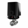 Кран перекриття води з дистанційним керуванням WaterStop Jeweller 1" (DN 25) (чорний)