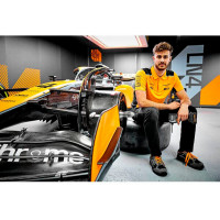 Шуруповёрт ударный McLaren F1 TEAM LIMITED EDITION DeWALT DCF85ME2GT  - фото № 13