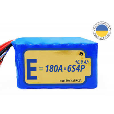 Батарея Energy Life Li-Ion 6S4P 21700-P42A 10AWG без конектора (001)