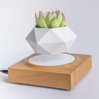 Магнітний левітаційний горщик для рослин HCNT Magnetic Levitating Pot M10-FP  Wood Grain