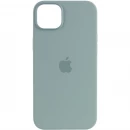 Чохол для смартфона Silicone Full Case AAA MagSafe IC for iPhone 14 Succulent