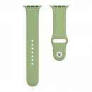 Ремінець для годинника Apple Watch Silicone Classic 42/44/45/49mm 1.Mint Green